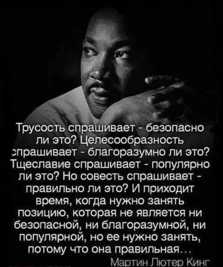 Спроси у совести своей. Трусость цитаты. Высказывания о трусости. Афоризмы про трусость. Афоризмы про мужскую трусость.