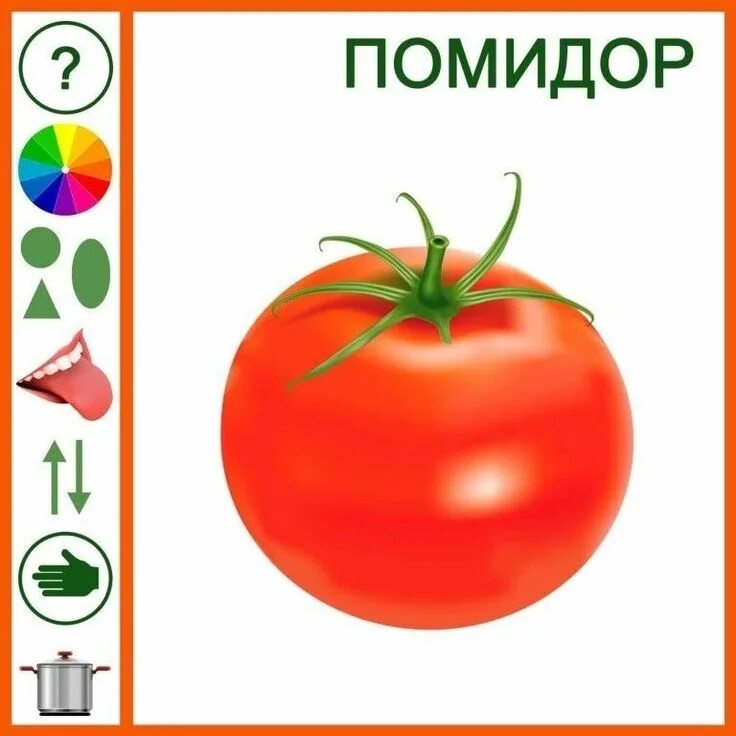 Овощи для детей дошкольного возраста. Овощи для дошкольников. описание овощей для детей. овощи и фрукты для дошкольников. помидор для дошкольников.