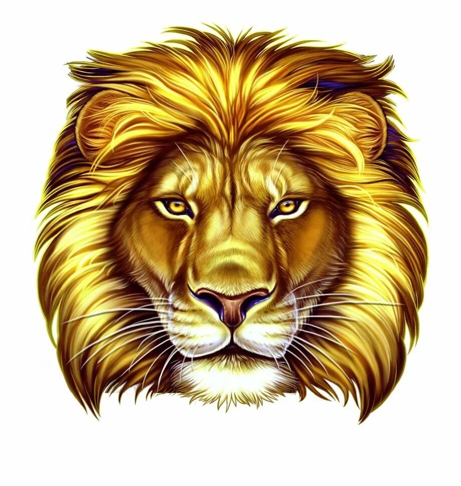 Голова Льва. Лицо Льва. Морда Льва. Золотая морда Льва.