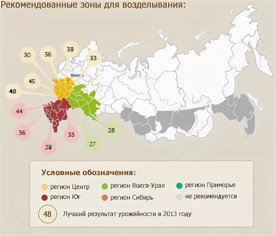 Основные районы выращивания кукурузы. Районы выращивания кукурузы в России. Где растет кукуруза в России карта. Где выращивают кукурузу в России на карте. Каучук районы выращивания