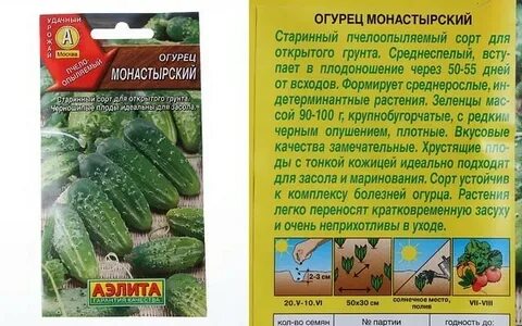Огурцы сорт монастырский