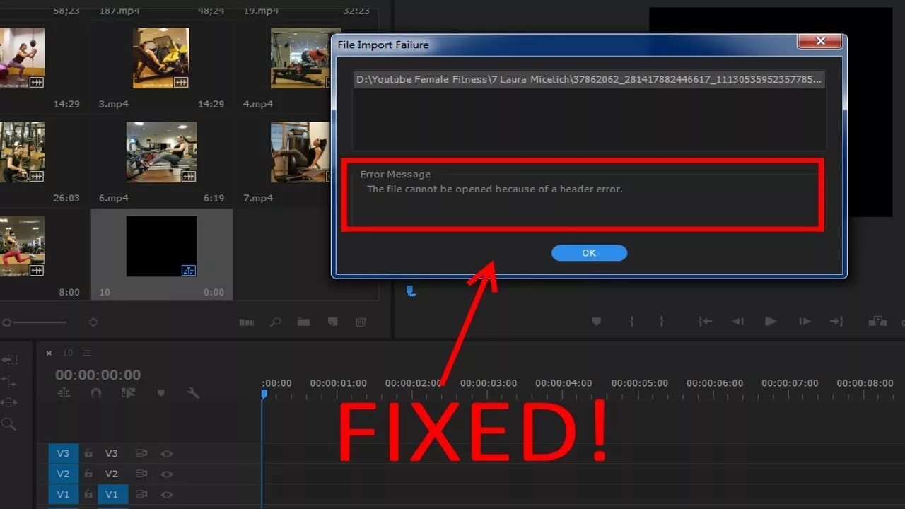 This video file cannot