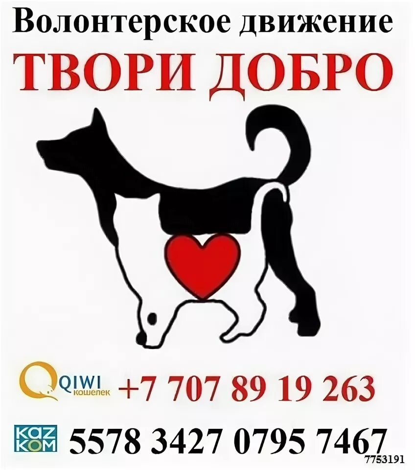 Помощь волонтерской группы саранск. Помощь волонтерской группы саранск. Маринс групп. Доброделание саранск. Волонтерство (добровольчество) в системе здравоохранения.