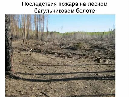 Нарушение среды
