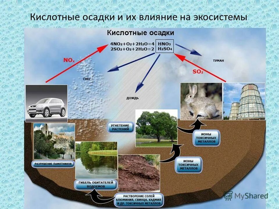 Окружающее насколько. Влияние человека на экосистемы. Влияние деятельности человека на экосистему. Отрицательное влияние человека на экосистему. Влияние человека на экологические системы.