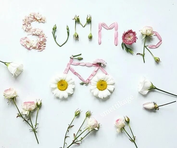 Рисунок в ворде цветы. Цветы картинки для детей. Разноцветная надпись. Pollinating flowers wordsearch. Flower word.