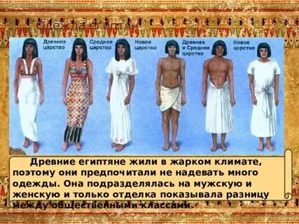 Институты древнего египта