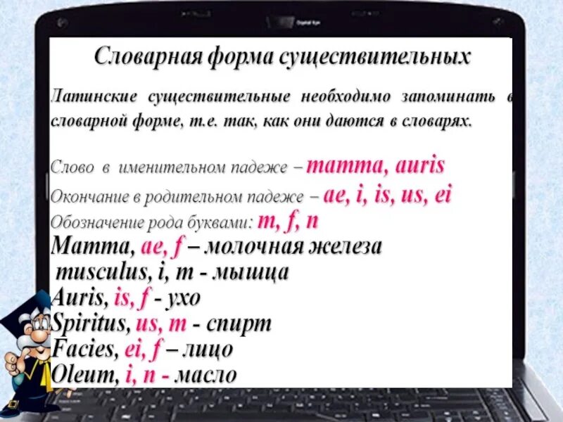 Латинское слово можно. Словарная форма существительных в латинском. Словарная форма имени существительного в латинском языке. Словарная форма в латинском языке. Словарная форма слова в латинском языке.