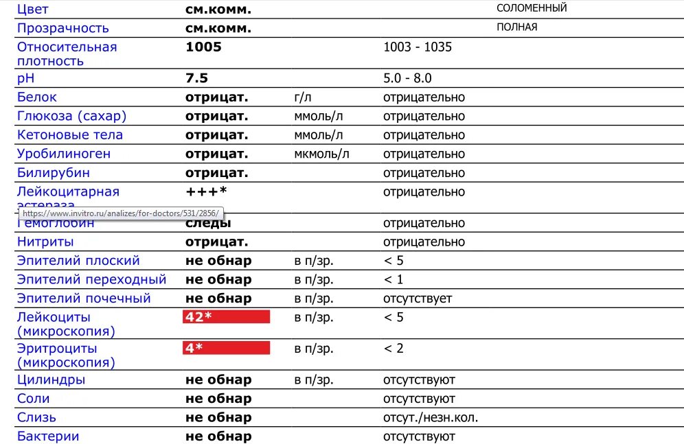 Что значит лейкоциты качественно в моче. Показатели лейкоцитов в моче норма. Норма лейкоцитов в моче у ребенка 4 лет норма. Показатели лейкоцитов в моче норма у мужчин. Норма эритроцитов в моче в 1 мл.