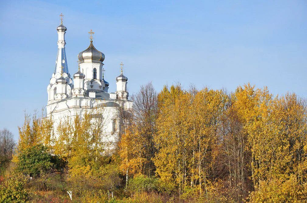 Низино в контакте. Церковь в Низино Ломоносовского района. Низино Ленинградская область. Низино Петергоф. Церковь Александры царицы в Низино.