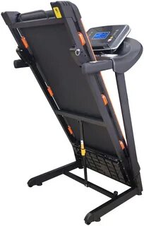 Royal fitness 6