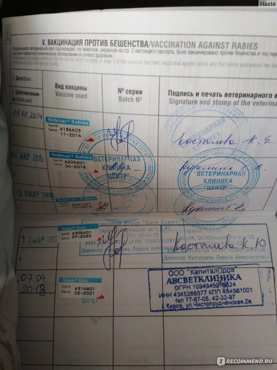 Прививка от бешенства кошке надо ли делать. Вакцинация кошек. Прививка от бешенства кошке надо ли делать. Схема вакцинации от бешенства для человека. Прививка от бешенства кошке надо ли делать.