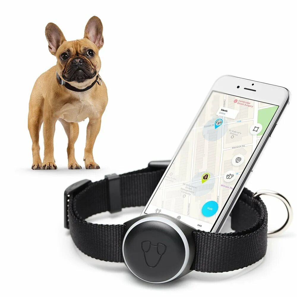 Трекер Pet GPS Tracker. GPS ошейник "Dog x30t". Трекер Pet GPS Tracker для питомцев. Джипиэс трекер на ошейник для собаки. Метка для отслеживания