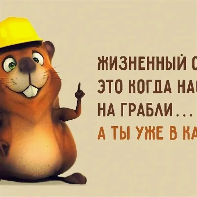 Задним умом крепок. Задним умом крепок