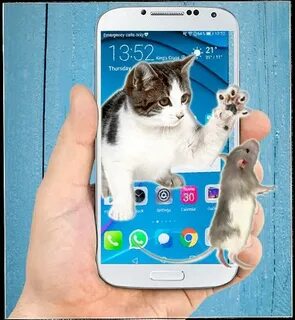 Мышки для кота игра на экране телефона
