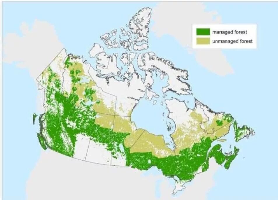 Лесные ресурсы Канады карта. Карта лесов Канады. Растительность Канады карта. Лесная промышленность Канады карта.