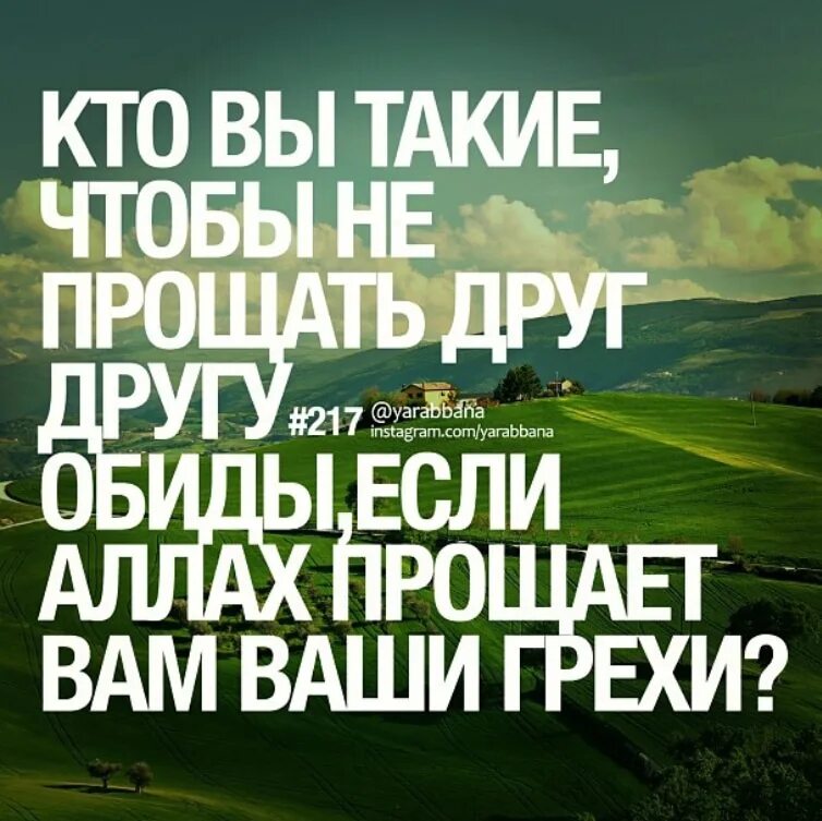 Награда от аллаха. Хадисы про дружбу. Прощение в Исламе. Исламские хадисы. Прощение в Исламе цитаты.