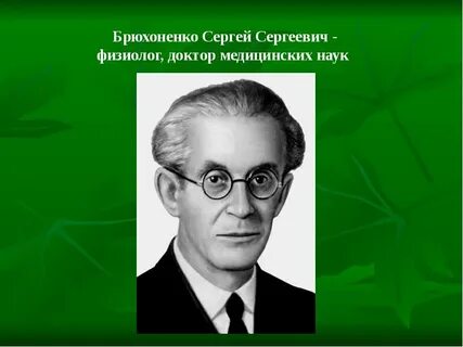 Брюхоненко