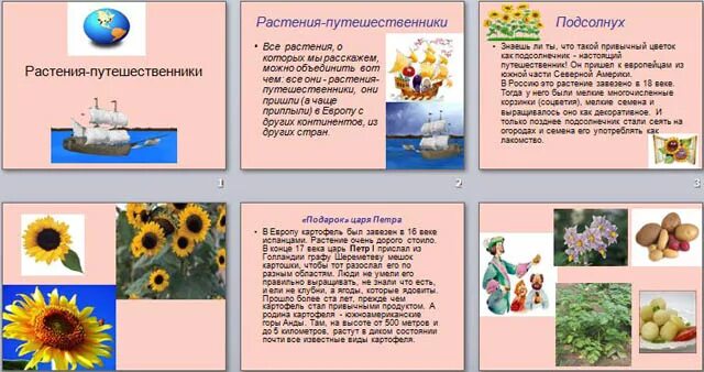 Сообщение о растениях путешественниках. Растения путешественники. доклад про растение путешественник. растения путешественники презентация. рассказ о растениях путешественниках.