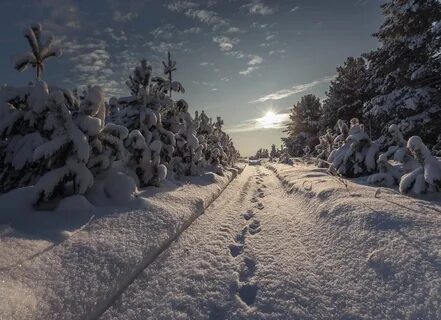 Зима снег лежит на каждой