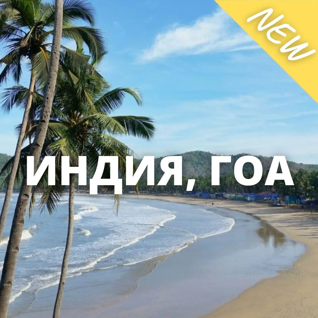 гоа из москвы 2023