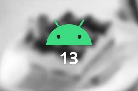 Yaebus13