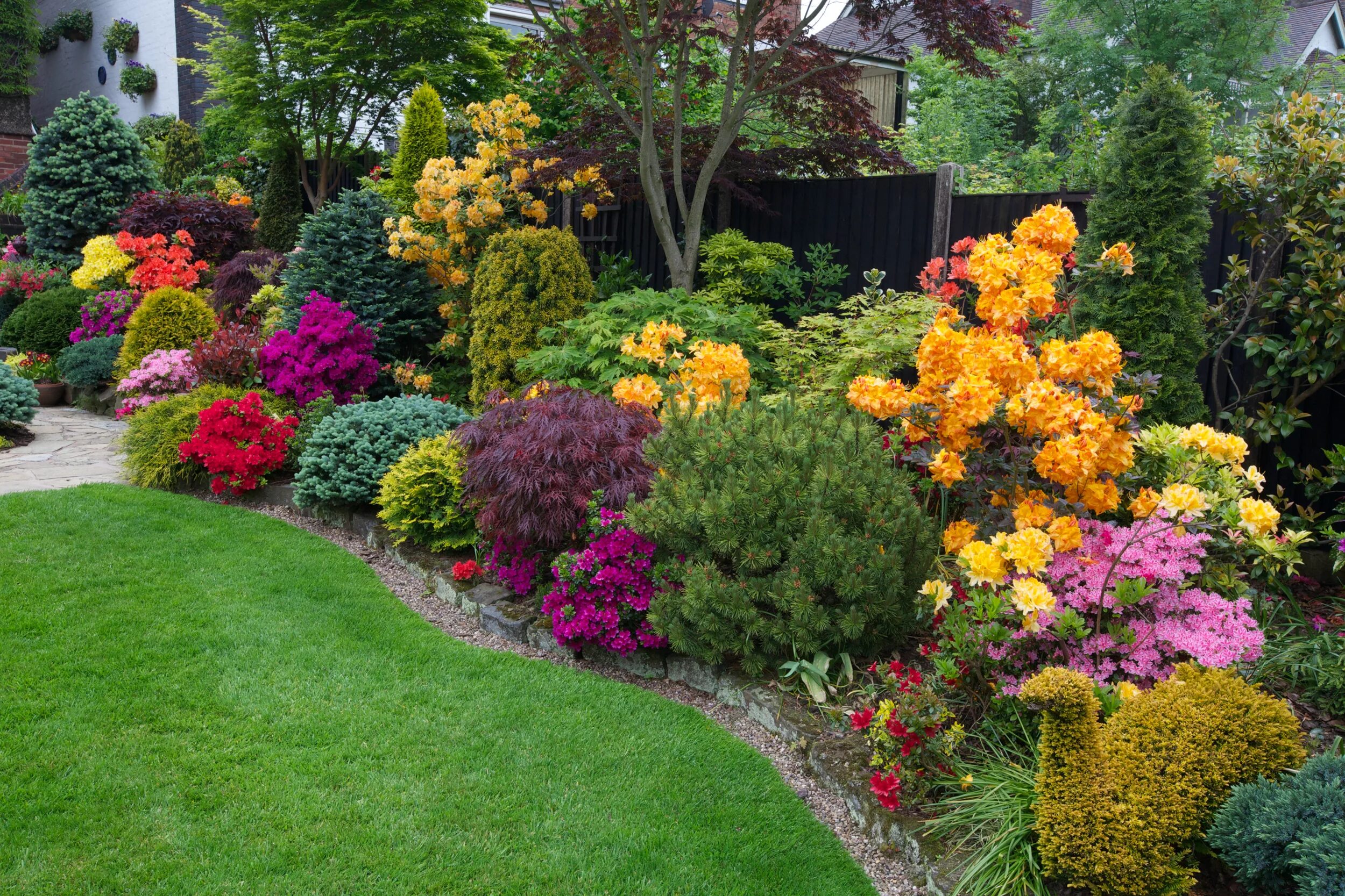 Create an easy-care perennial border on a budget Flower garden design, Inexpensi