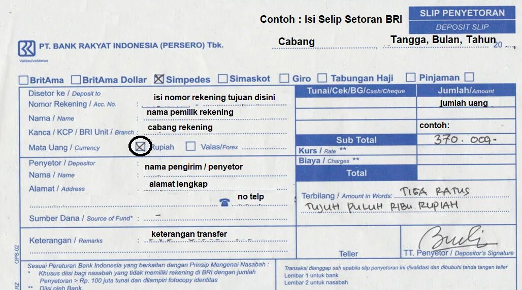 T me check slips франция