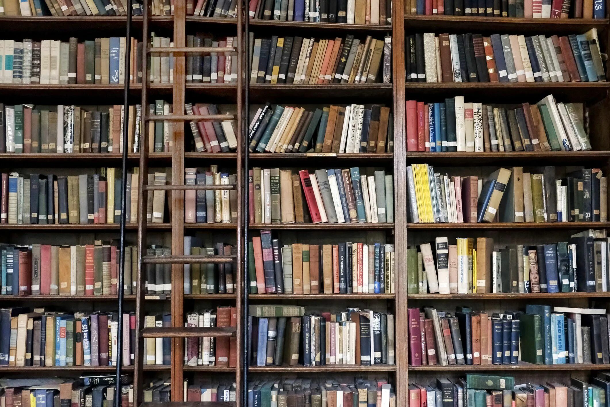 Библиотека которая рядом. Книжные полки в библиотеке. Библиотека аалто фото для инстаграма. Library bookshelf. Современные библиотеки москвы.