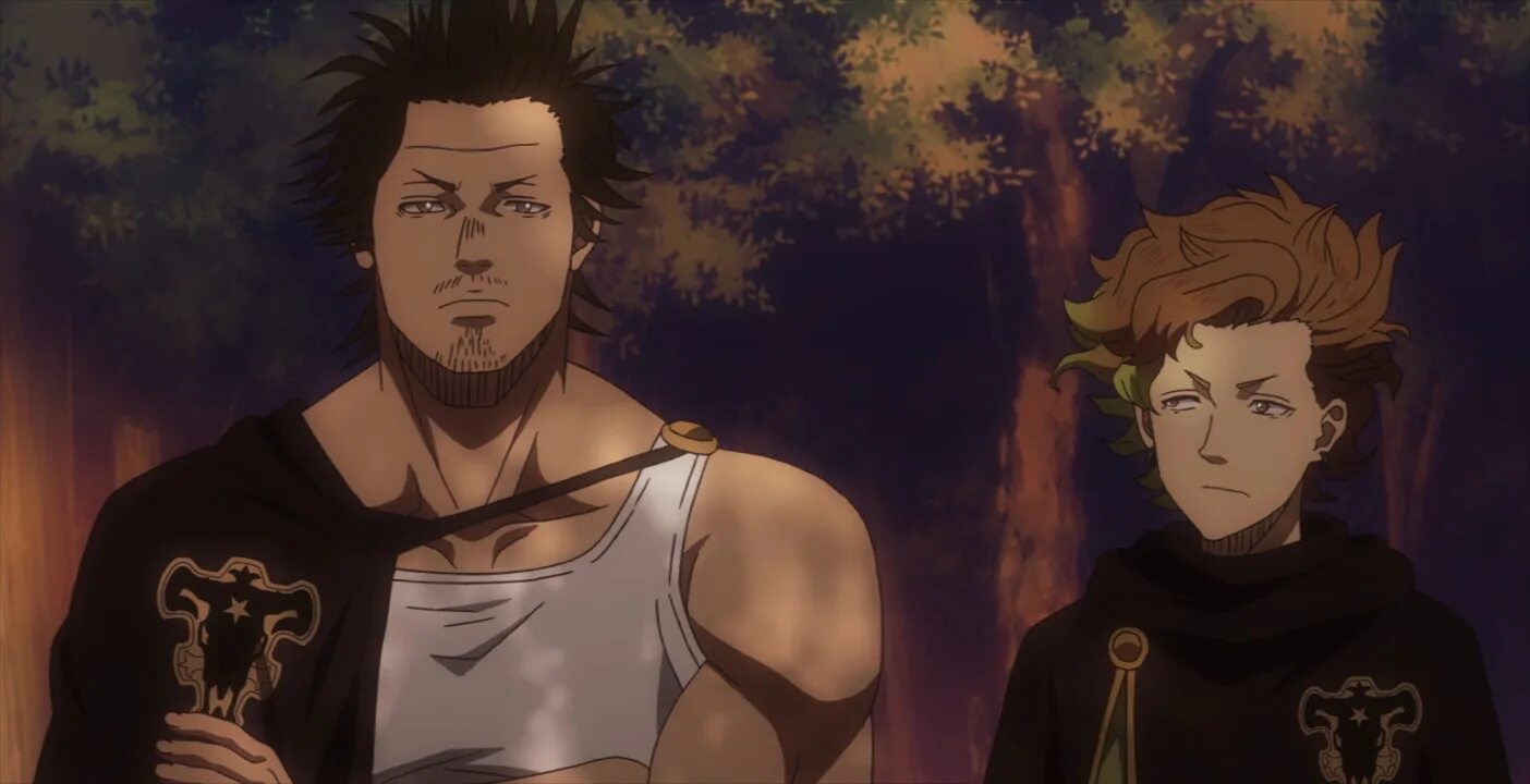 Black clover code