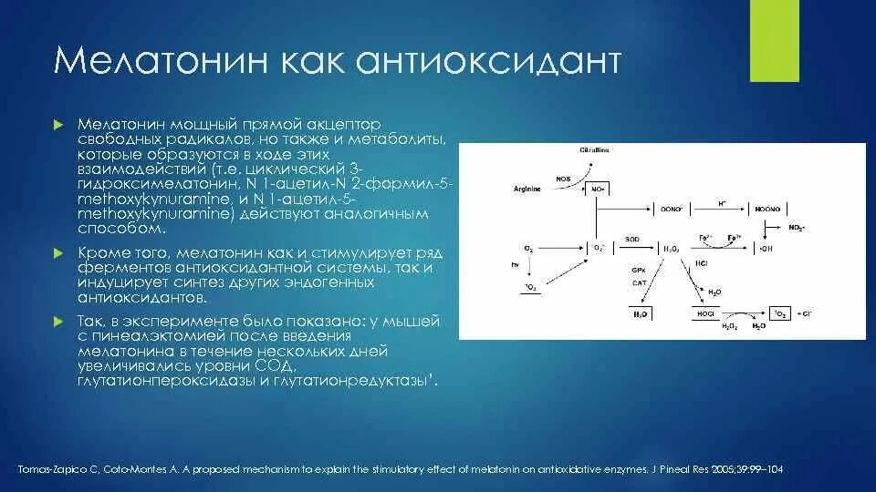 Синтез мелатонина. Мелатонин антиоксидант. Функции серотонина и мелатонина. Мелатонин биохимия.