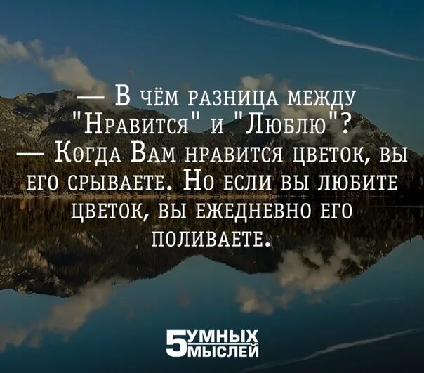 Разница между Нравится и люблю. 5 Умных мыслей цитаты. Цитаты между Нравится и люблю. Разница между Нравится и люблю Будда.