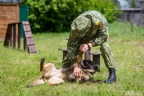Приходить граница