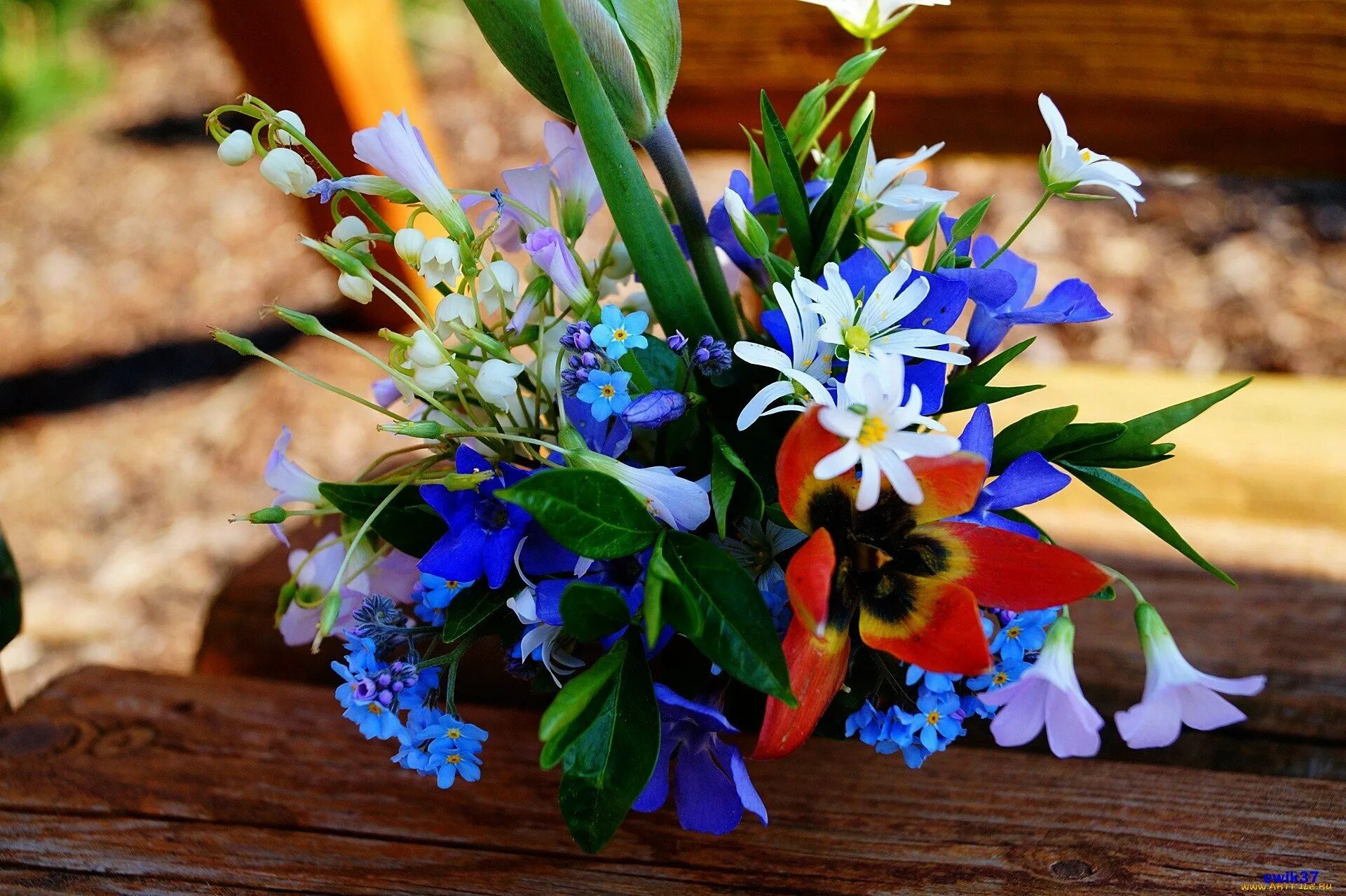 Какие цветы в мае россия. Фрезия нарциссы. Тюльпаны и незабудки в букете. Весенний букет. Красивый весенний букет.