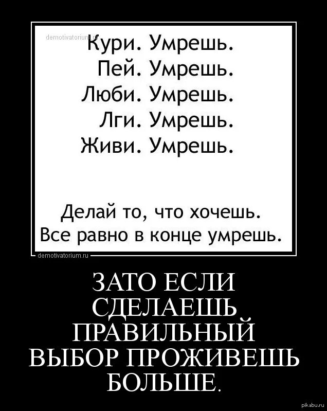 Пьешь помрешь не пьешь помрешь