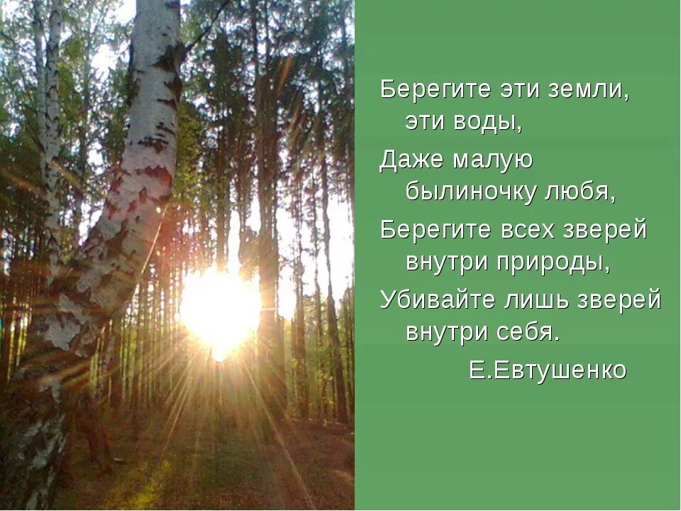 Стихи о природе. Стихотворение на тему природа. Писатели о красоте природы. Стихи о природе для детей. Стихотворение связанное с природой