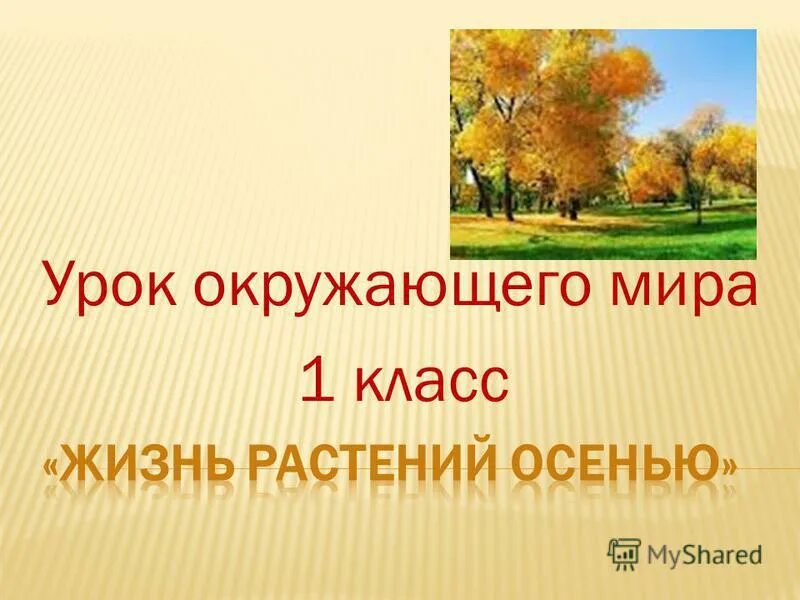 осень и растения презентация. изменения растений осенью. растения осенью презентация. растения осенью презентация. осенняя презентация.