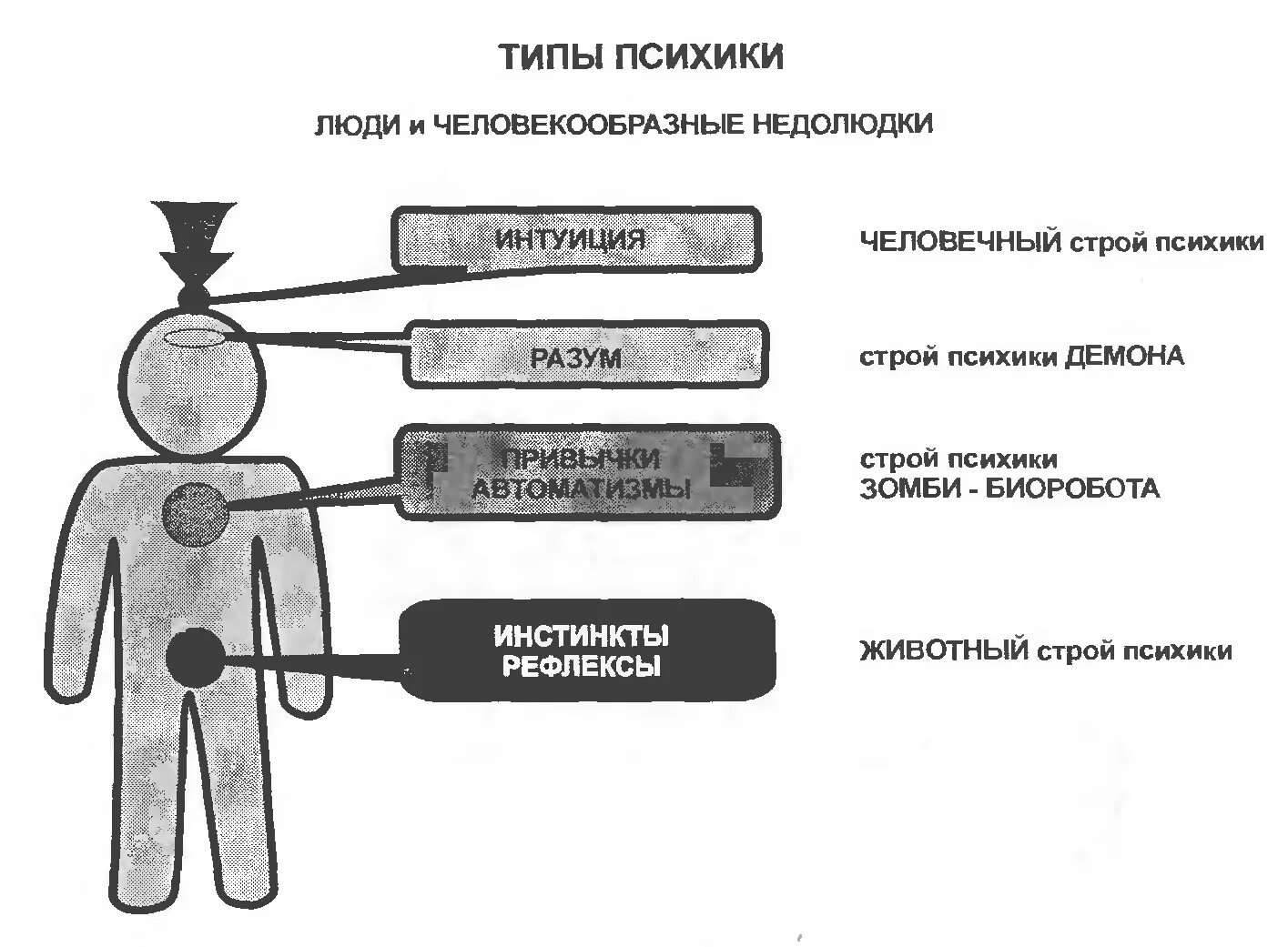 Как работает психика. Типы строя психики человека. типы строя психики коб. психика схема. схема человеческой психики.