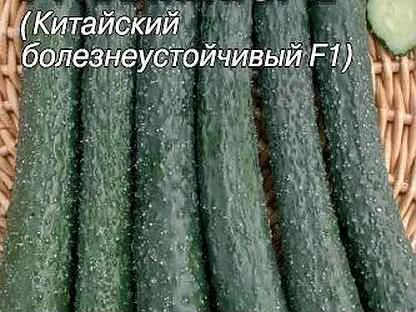 Семена огурец опт