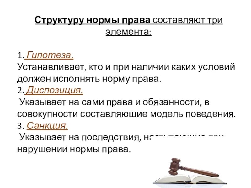 Элементы структуры правовой нормы. Статья с гипотезой и диспозицией