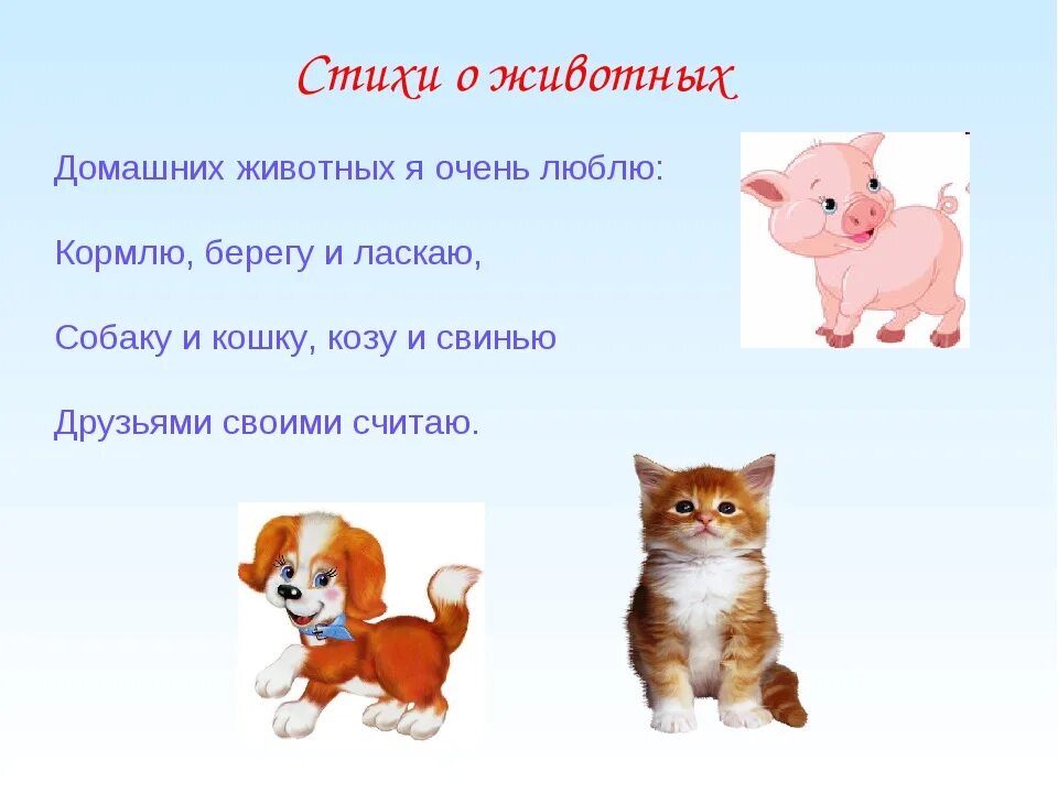 Про животных изучать. Детские стихи про домашних животных. стихи про домашних животных. стихи о животных. стихи про домашних животных для детей.