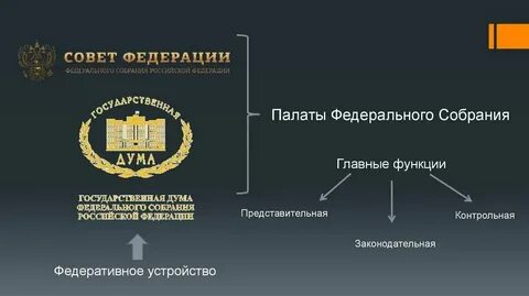 Органы образуемые палатами федерального собрания