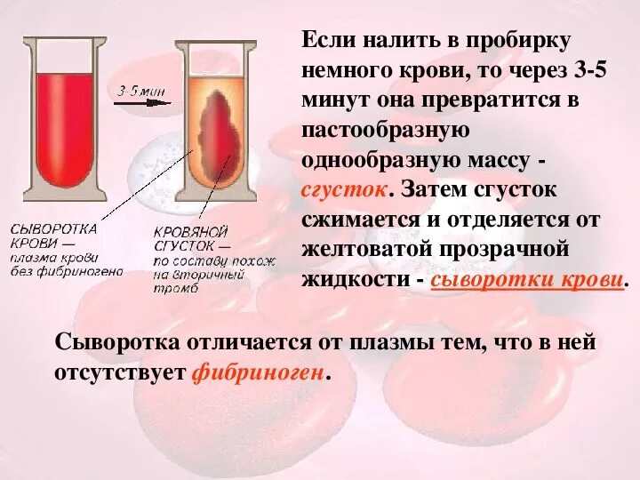 Сколько течет кровь. Сыворотка крови. Плазма крови. Образование сгустка крови при взятии анализа. Сгусток крови в пробирке.