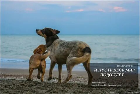 Но вокруг