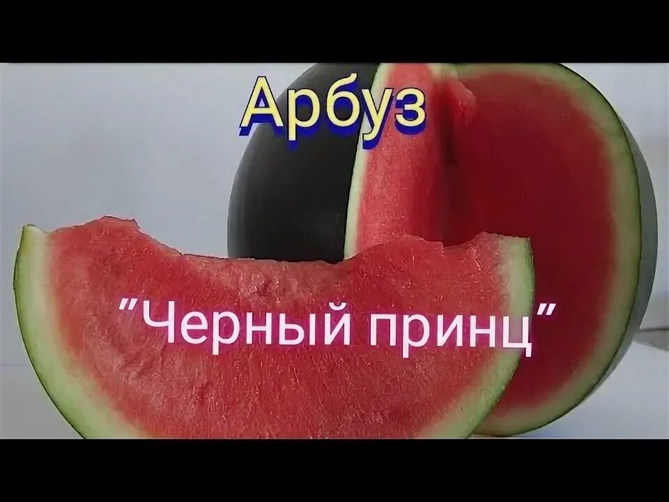 Арбуз черный принц желтый. Черный арбуз денсукэ. Арбуз черный принц желтый. Арбуз черный принц ~ 6кг. Арбуз черный принц ~ 6кг.