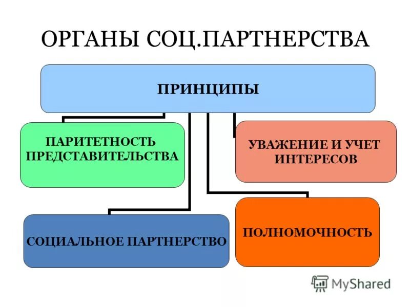 Укажите уровень системы социального партнерства