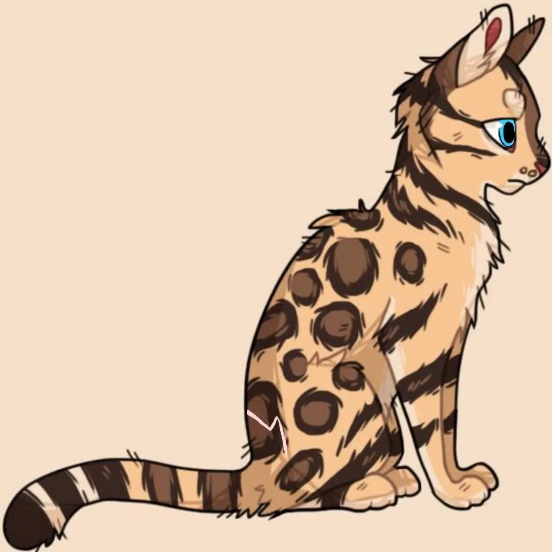 Ягодник коты воители вики. Коты воители белыш. Коты воители львиногрив. Shrewpaw коты воители. Коты воители бурый кот.