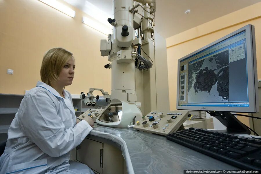 Институт химической биологии и фундаментальной медицины. Институт химической биологии и фундаментальной медицины со ран. Институт химической биологии и фундаментальной медицины со ран. Институт фундаментальной медицины новосибирск. Институт биологической химии и фундаментальной медицины.