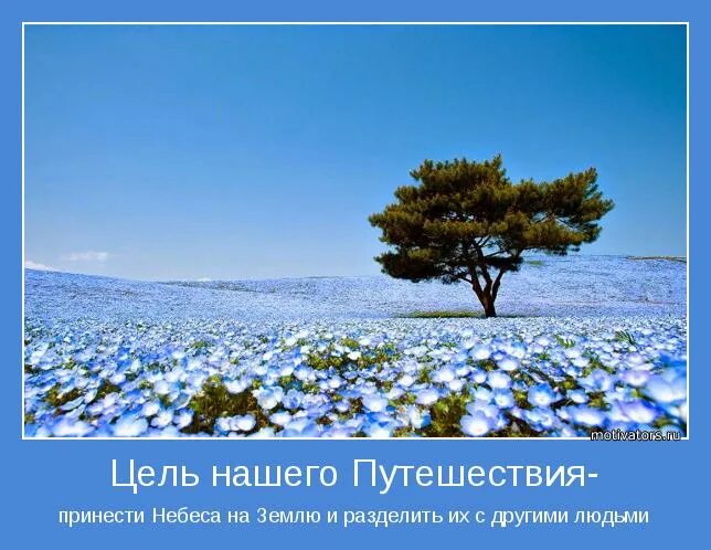 ангел в небе. душа в небе. принести небеса на землю. облака рассвет. ангел в небесах.