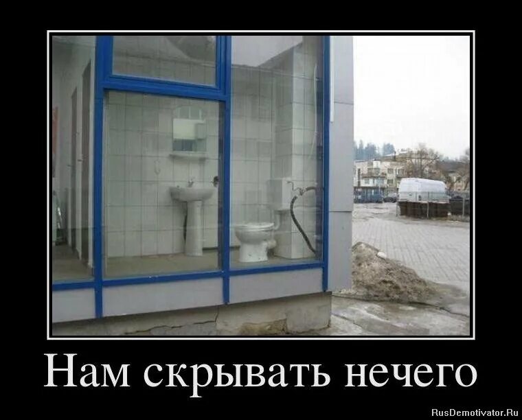 Ничего не стесняется
